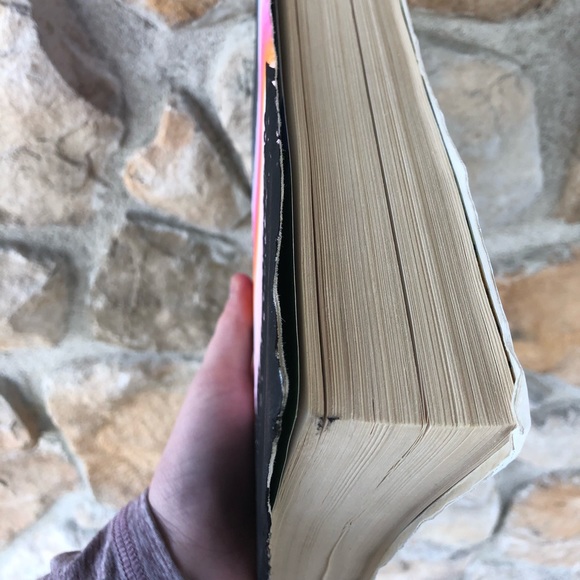 Painted Bible (KJV) - Picture 3 of 5